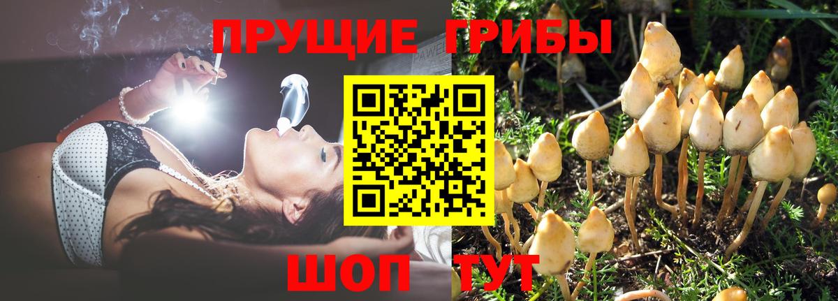 магазин продажи   Галлюциногенные грибы мухоморы  Вход с VPN  Омск  Псилоцибиновые грибы мухоморы 